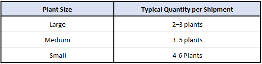 International shipping rates and size guide for rare tropical plants